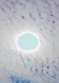 高H)最新章节_叮叮当新书作品__晚安小