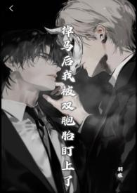 掉马后我被迫追妻火葬场gl