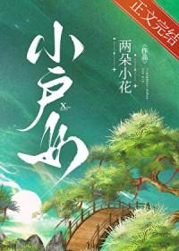 小户女本书作者 两朵小花
