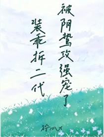 装乖讲的是什么