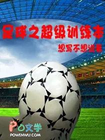 超级足球系统txt