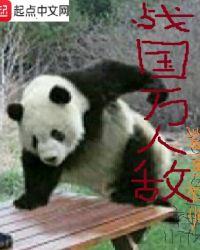 战国万人敌好看吗