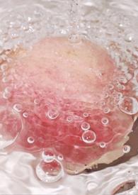 被俘虏的美人丞相by北境之王