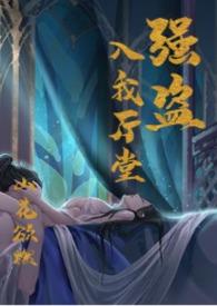 强盗是什么意思啊