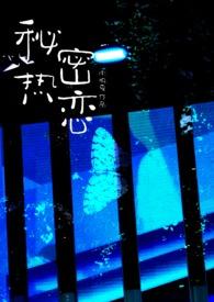 秘密恋情是指什么意思