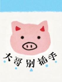 大哥别撩了娱乐圈