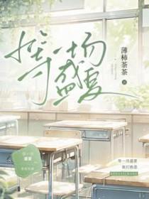 等一场盛夏笔趣阁bqg9527