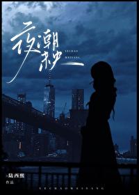 夜潮未央破镜重圆晋江