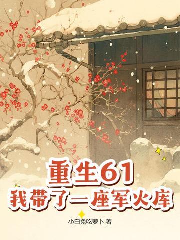 重生61我带了一座军火库动画
