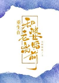 重生在和老婆离婚前短剧