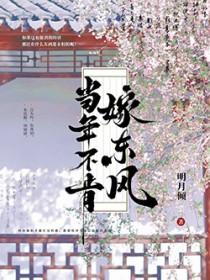 当年不肯嫁东风梅燃笔趣阁