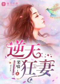 逆天狂妻天才炼丹师 玲珑小公子