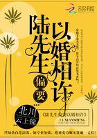 陆先生偏要以婚相许笔趣阁全文免费阅读