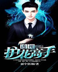 透视神眼护花使者