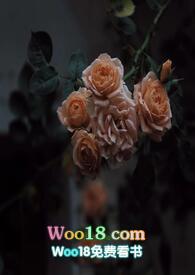 壁垒(骨科NP)江至