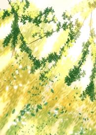 但第三者by 欺花