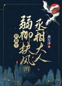 朕那个弱柳扶风的丞相大人by燕行泽