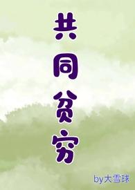 论共同富裕与贫富差距