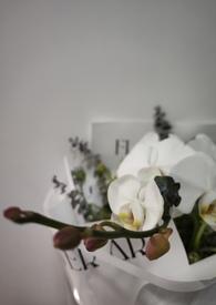 我的未婚妻是谁