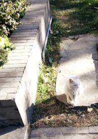 媚欢乔亦暖笔趣阁免费