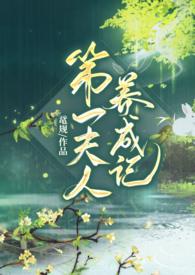 第一夫人txt全文阅读