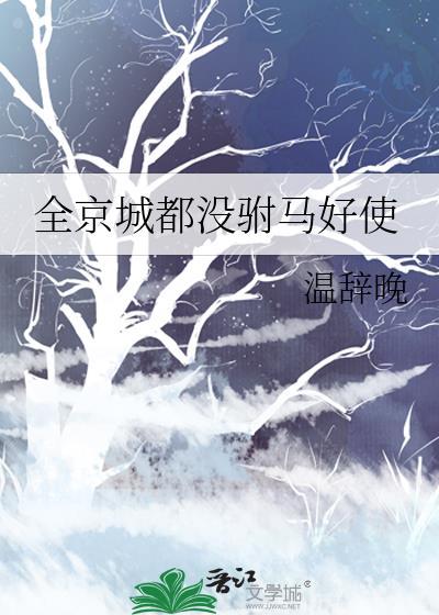 全京城都没驸马好使晋江
